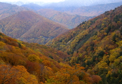 山の紅葉