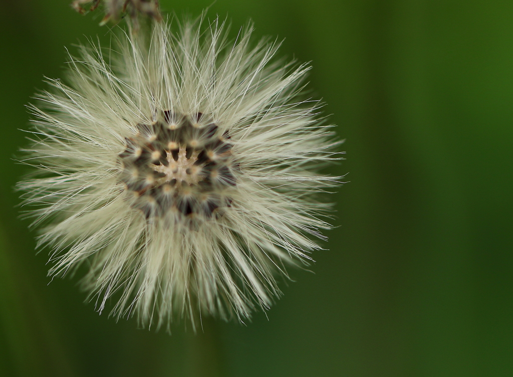 もうすぐ飛びます~♪