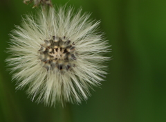 もうすぐ飛びます~♪