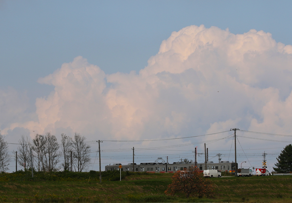 何でもないことが幸せ～♪