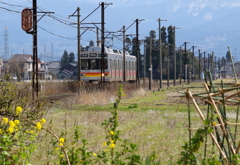 ステン君～♪が来るよ～