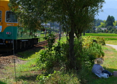 木陰でひと休み