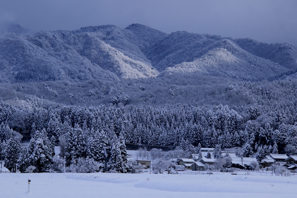 雪景色