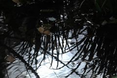 時の流れに身を任せ