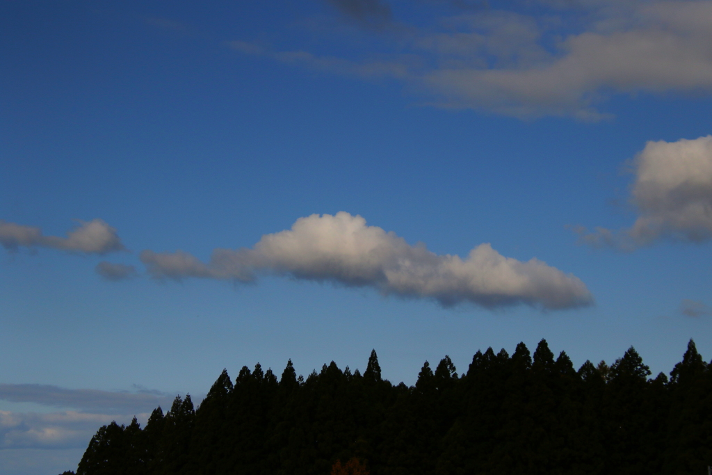 雲