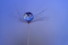 おぼろげなるもの