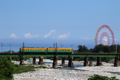 かぼちゃ君～♪