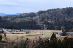 旅するダイコン君～♪