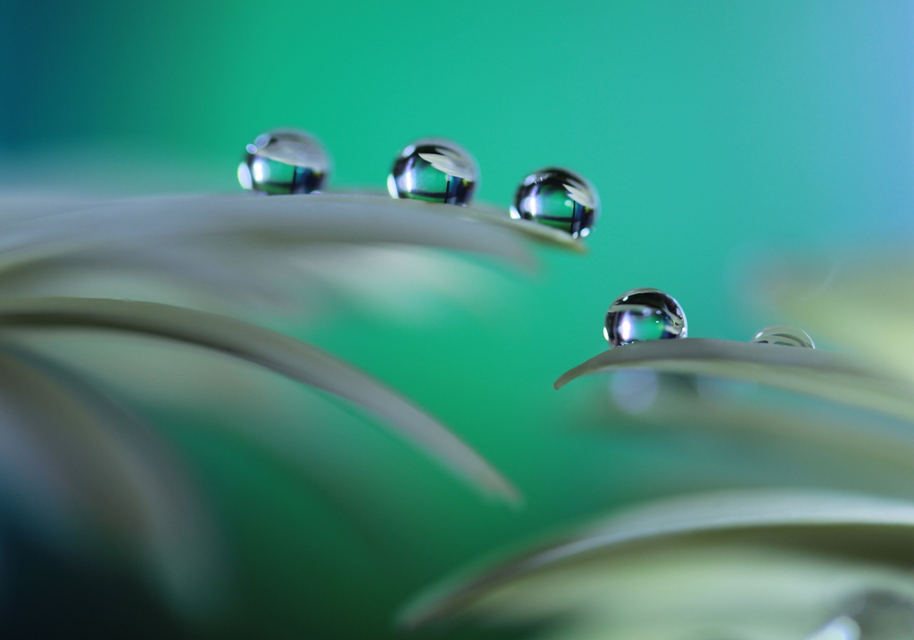 心海ＤＲＯＰＳ　96