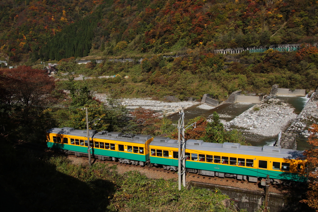 かぼちゃ君～♪