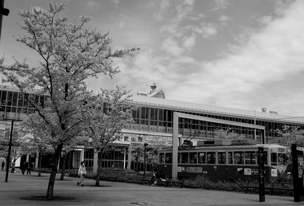 富山駅（春）モノクロ