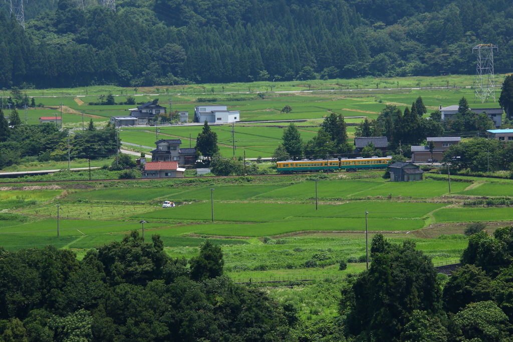 緑の野を走る～♪