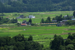 緑の野を走る～♪