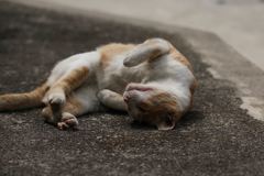 もっともっと、かまってよ～