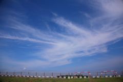大空を舞う