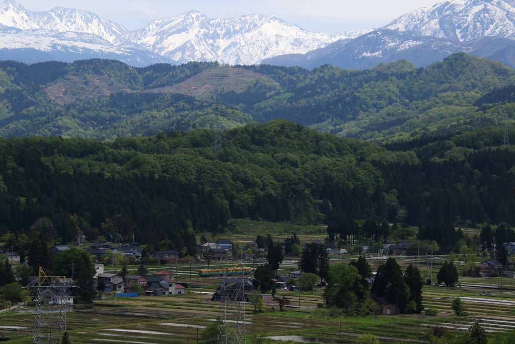 里山の春 (ガッタンゴットン走ります～♪）