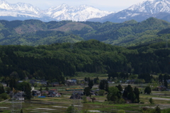 里山の春 (ガッタンゴットン走ります～♪）