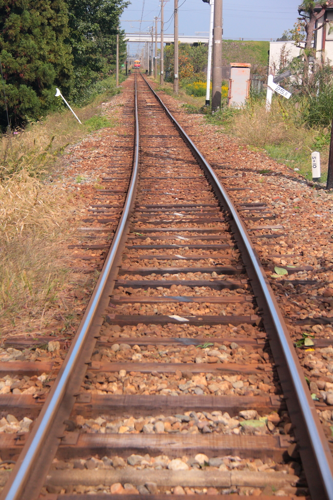 おお～い！ダブルデッカー君