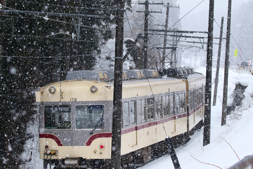 山は雪　ダイコンの旅は続く～♪