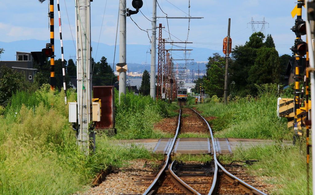 遠ざかるステン君～♪　またね～
