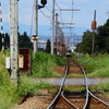 遠ざかるステン君～♪　またね～
