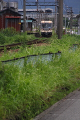 ヘッドライトが光る