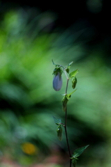 生気
