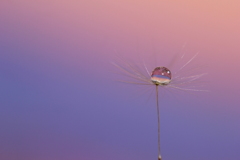 あの虹色の空を飛べたなら