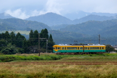 元気なかぼちゃ君^^♪