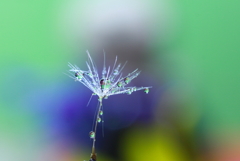ツゥ～っと雫