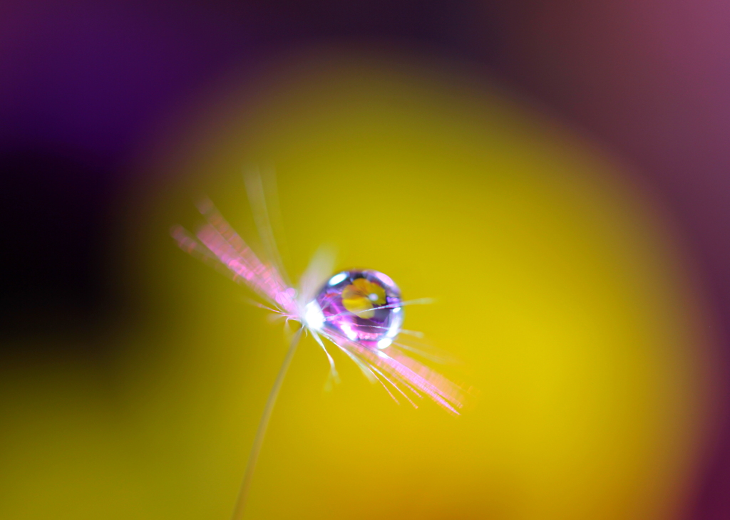 光を求め・・・