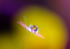 光を求め・・・