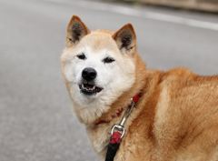 笑顔