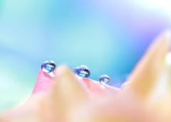 心海ＤＲＯＰＳ　119