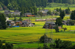 秋、色づく季節　地鉄愛～♪