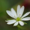 重なり合えば・・♡になれる
