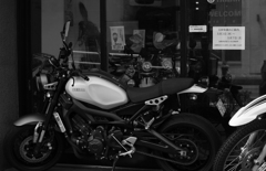 アハ～！これも好き