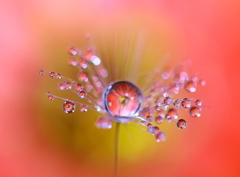 打ち上げ花火