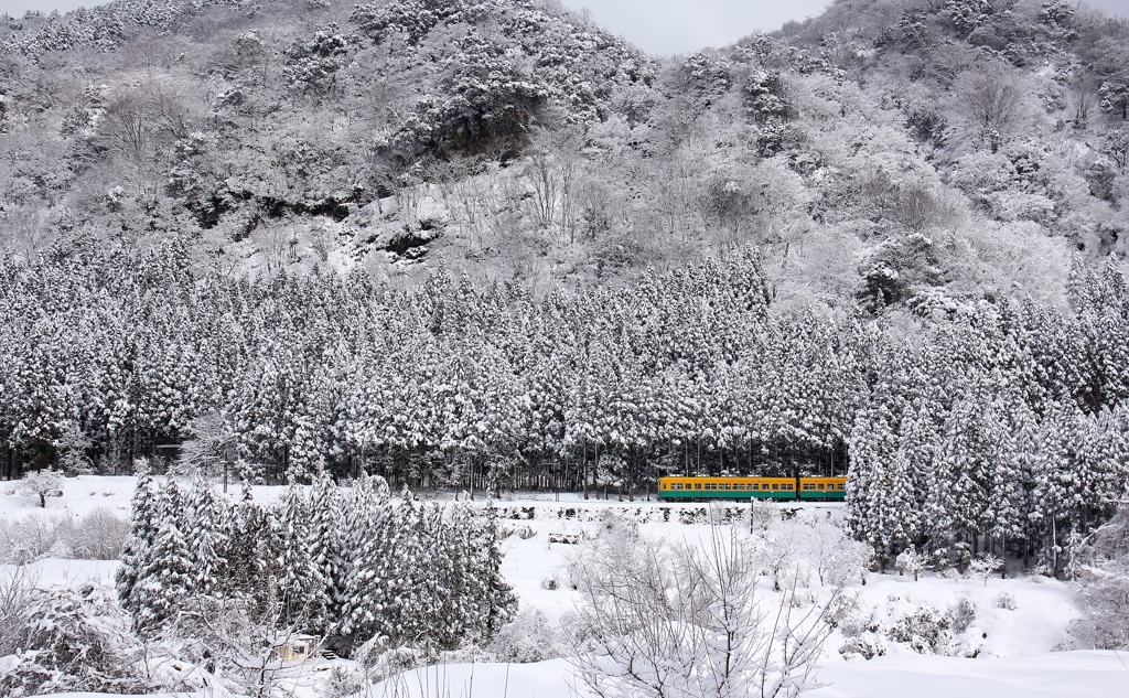 雪山をガッタンゴットン走ります～♪