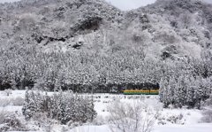 雪山をガッタンゴットン走ります～♪