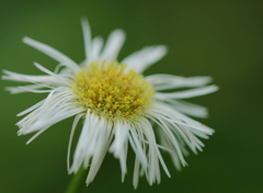 雨にも負けず・・・