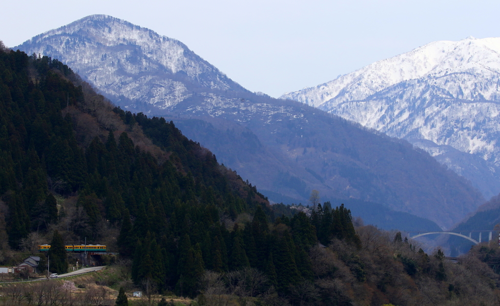 今日も行く～♪カボチャ電車君