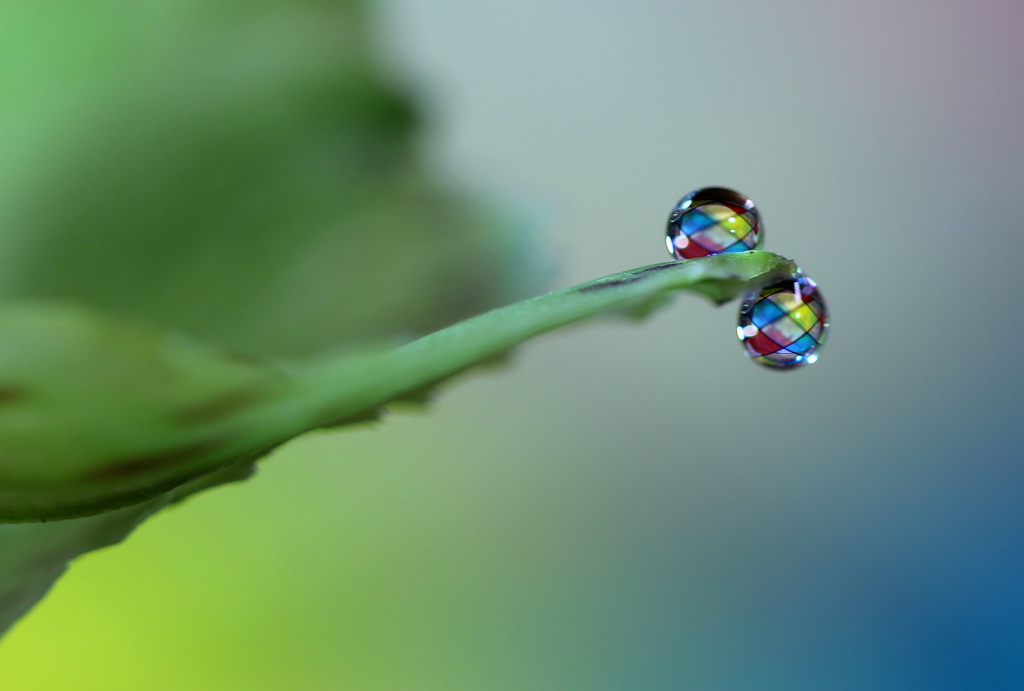 心海DROPS・・・miracle