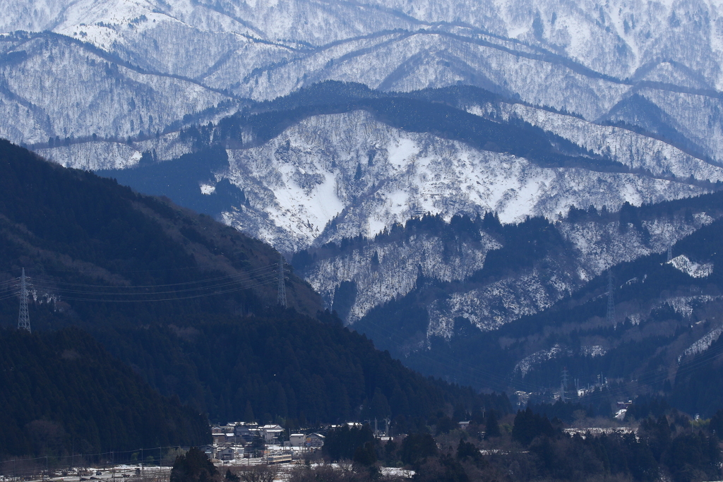 第二弾、ボクがどこにいるか（ダイコン電車）わかりますか？