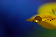 ハジマリノトキ