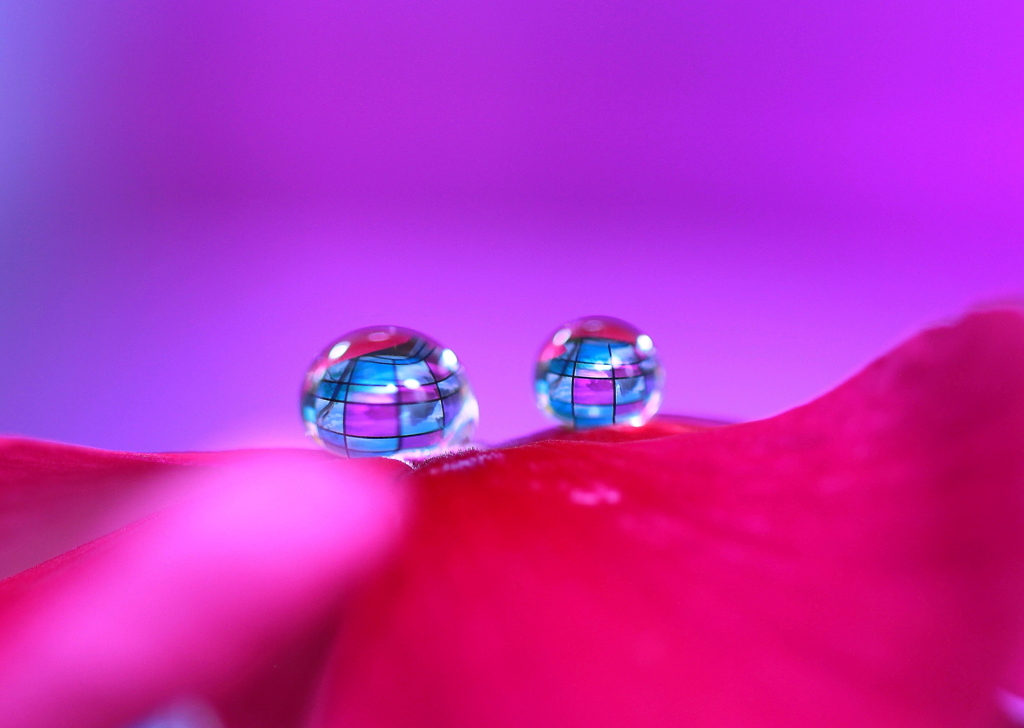 心海ｄｒｏｐｓ