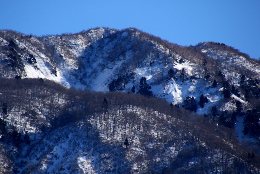 山