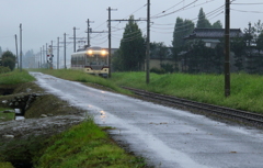 雨の日のダイコン君～♪