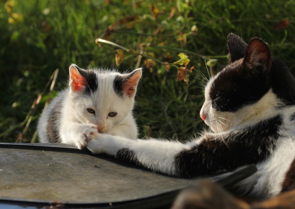 ママの手って温かいね！