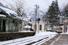 ダイコン君の旅は続く～